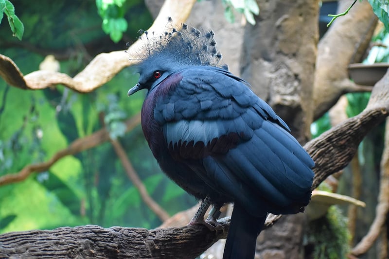Unique Creations